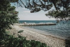 chairs are set up on the beach by the water's edge with pine trees