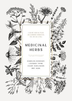 the medical herbs frame is surrounded by flowers and leaves, hand drawn in black on white paper