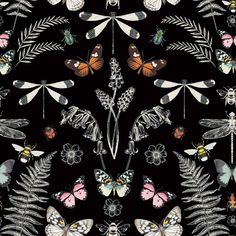 a black background with lots of butterflies and dragonflies