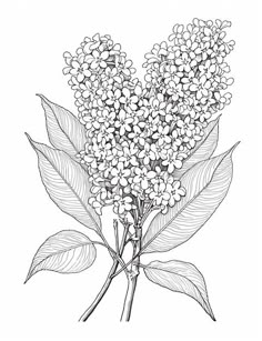 a black and white drawing of a bunch of flowers