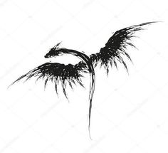 an artistic black and white drawing of two feathers on a white background stock photo, images and