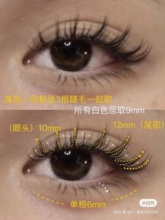 False Lashes Tutorial, Manhwa Lashes, Manhua Lashes, Eyelashes For Beginners, Apply Eyelashes, Apply False Eyelashes, Eyelashes Tutorial, Seni Resin, Manga Lashes