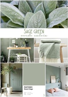 the sage green color scheme is featured in this article