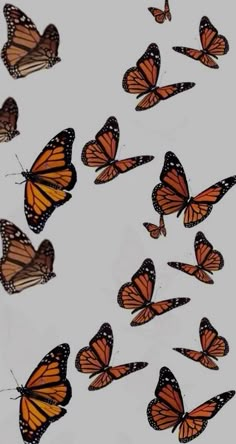 a group of butterflies flying in the sky