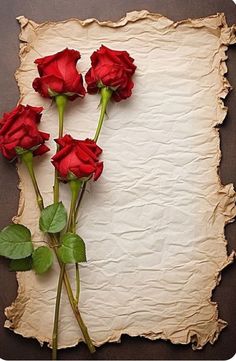 three red roses sitting on top of an old piece of paper