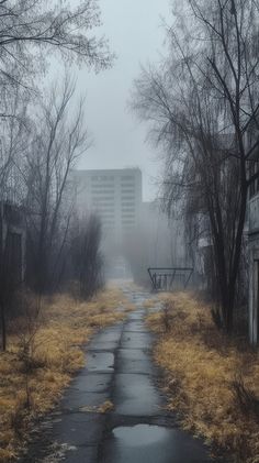 an empty road in the middle of a grassy area with trees and buildings behind it