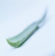 a close up of a green leaf on a white surface