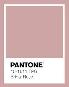 pantone's bridal rose color is shown in the box with white border