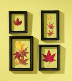 three framed pictures with autumn leaves on them hanging on the wall in front of a yellow wall