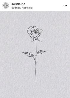 a drawing of a single rose on paper with the words swink inc sydney australia