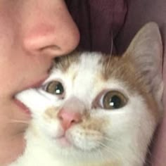 a close up of a person holding a cat in front of their face with one eye open