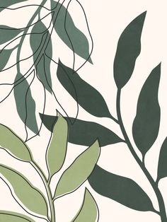 an image of leaves on a white wallpaper pattern with green and grey colors in the background