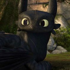 toothless toothless toothless toothless toothless toothless toothless toothless toothless toothless toothless toothless toothless toothless toothless toothless toothless tooth