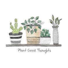 three potted plants on a shelf with the words plant good thoughts written below them