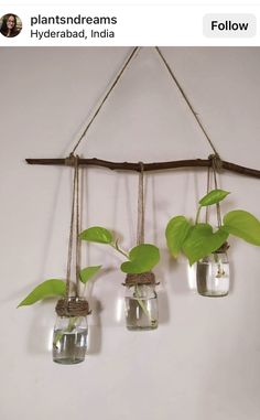 three glass jars with plants in them hanging from a twig