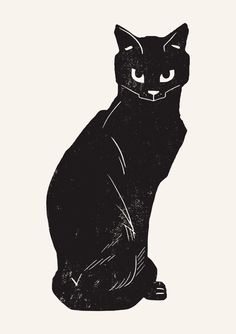 a black cat sitting on top of a white background