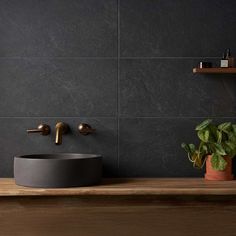 a bathroom sink sitting on top of a wooden counter next to a potted plant