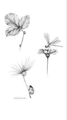 three different types of flowers and leaves in black and white, each with a single flower on