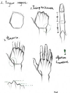 the steps to drawing hands and fingers