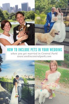 a collage of photos showing people and their pets in central park with the city skyline in the background