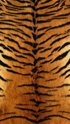 an orange tiger print t - shirt on a white background