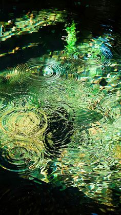 water ripples on the surface of a pond