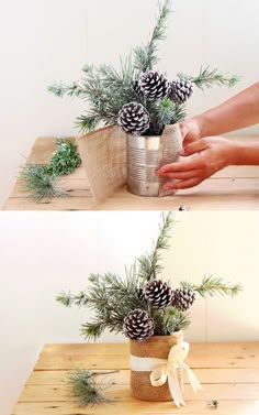 two pictures of pine cones in a tin can on a wooden table, one is holding the