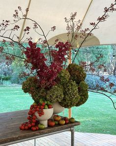 an arrangement of flowers and fruit on a table under a tent in a park setting