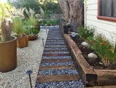 an outdoor garden with gravel, rocks and plants