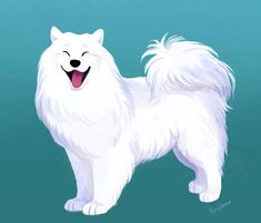 a white dog standing on top of a blue background