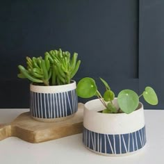 two ceramic pots with plants in them on a table