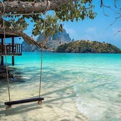 a swing hanging from a tree in the water next to a beach with a house on it