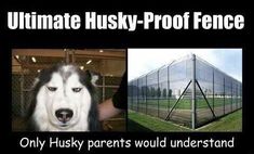 a black and white sign that says ultimate husky proof fence