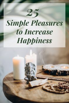 Frugal Hedonism, Living Gently, Slow Living Affirmations, Housewife Life, Increase Happiness, Living Intentionally, Sabbath Rest, Stop And Smell The Roses