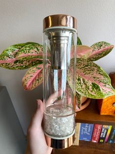 a hand holding a glass filled with water next to a potted plant and bookshelf