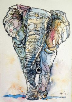 an elephant painted in watercolor and ink