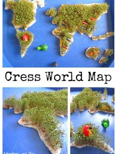 the world map is made out of moss