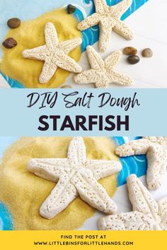 starfish made out of sand on the beach with text overlay that reads diy salt dough starfish