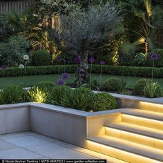 an outdoor garden with steps lit up and plants growing in the planter boxes on either side