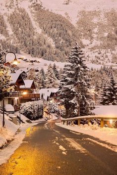 snow covered trees line the road in front of a mountain lodge at night with lights on