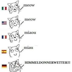 an image of cats with different expressions on their faces and the words in each language