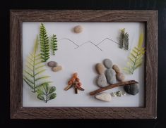 some rocks and plants in a frame on a table next to a rock, tree branch, and seaweed