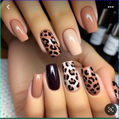 Black Leopard Nails, Leopard Nail Art Designs, Bow Nails, Opi Nail Colors, Nails Art Designs, Country Nails