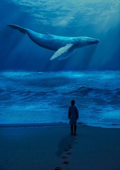 a man standing on top of a beach next to the ocean under a whale's tail