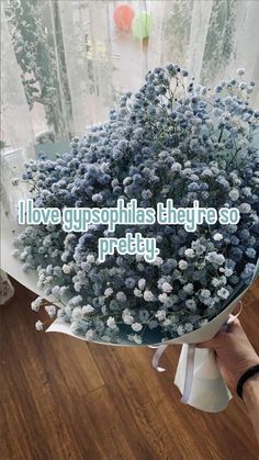 a person holding a bouquet of flowers with the words i love typsophias they're so pretty