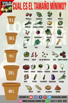 a poster showing the different types of vegetables in each bowl, and what they are labeled