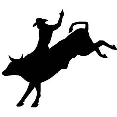 a man riding on the back of a bull