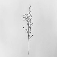 Modern Carnation Tattoo Sketches Tattoos Carnation Flower, Carnation Flower Tattoo Back, August Tattoo Flower, Single Needle Floral Tattoo, Carnation Arm Tattoo, Minimal Carnation Tattoo, Jonquils Tattoo, Carnation Ankle Tattoo, Carnation Flower Tattoo Simple