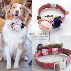 there are three different dog collars with flowers on them and one has a flower in its mouth