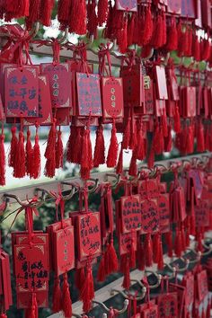 China Temple, Shanghai Night, Chinese Temple, Chinese Aesthetic, Turning Japanese, Corporate Party, Chinese Wedding, August 31, Japanese Restaurant